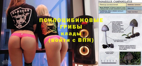 гашик Алексеевка